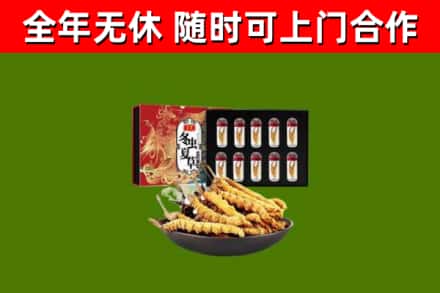 平昌县回收冬虫夏草价格