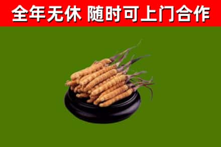 平昌县烟酒回收冬虫夏草.jpg